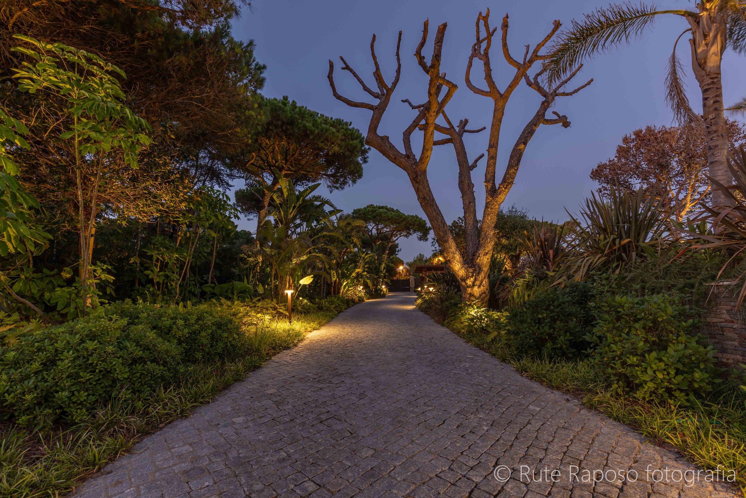 RuteRaposo_JardimJustlight_021025-31-min