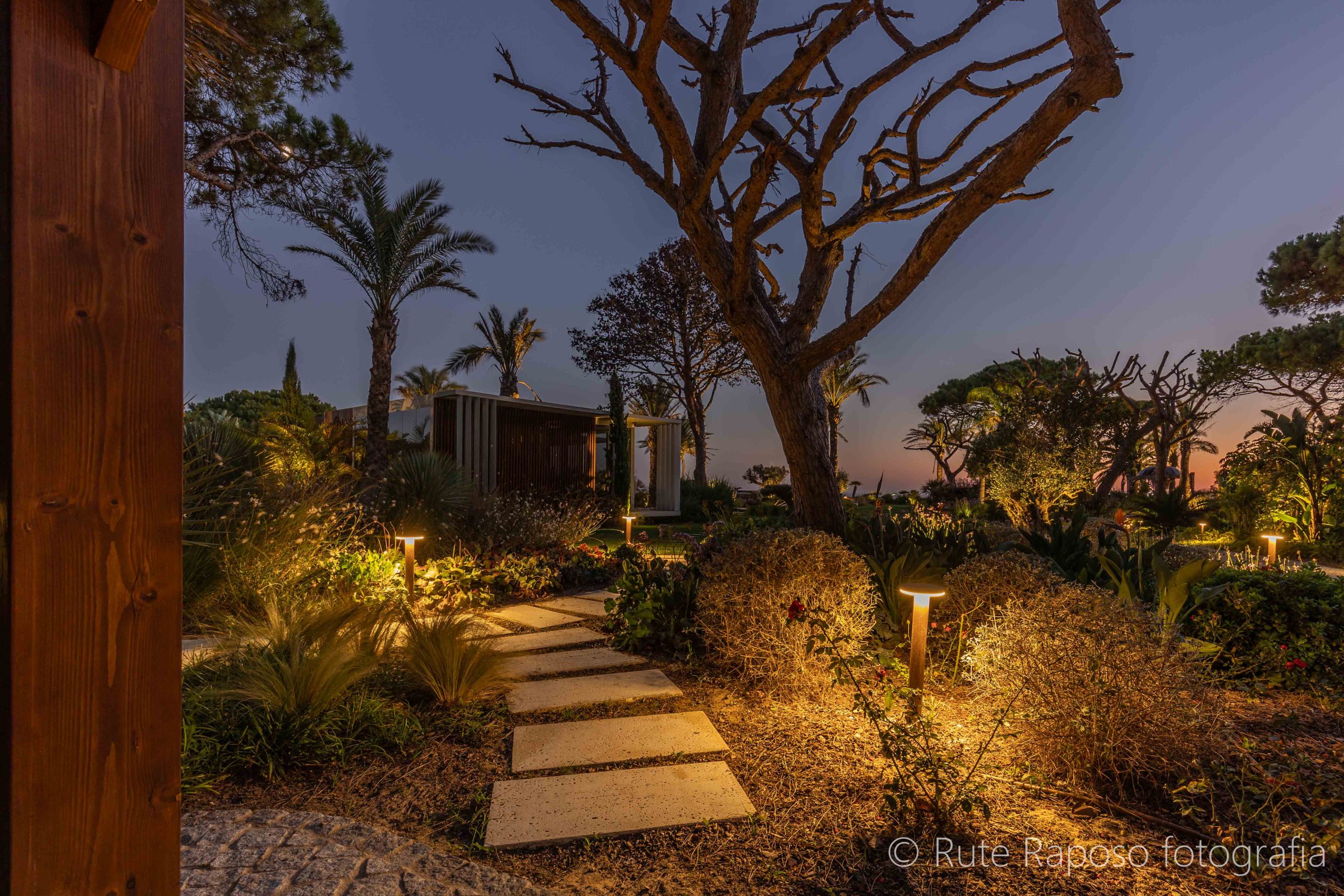 RuteRaposo_JardimJustlight_021025-34-min